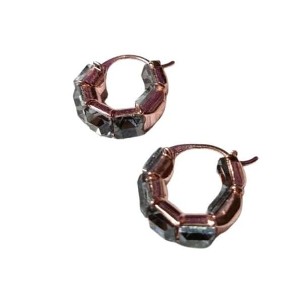 Crystal Core Stainless Steel Anti Tarnish Drops Earrings
