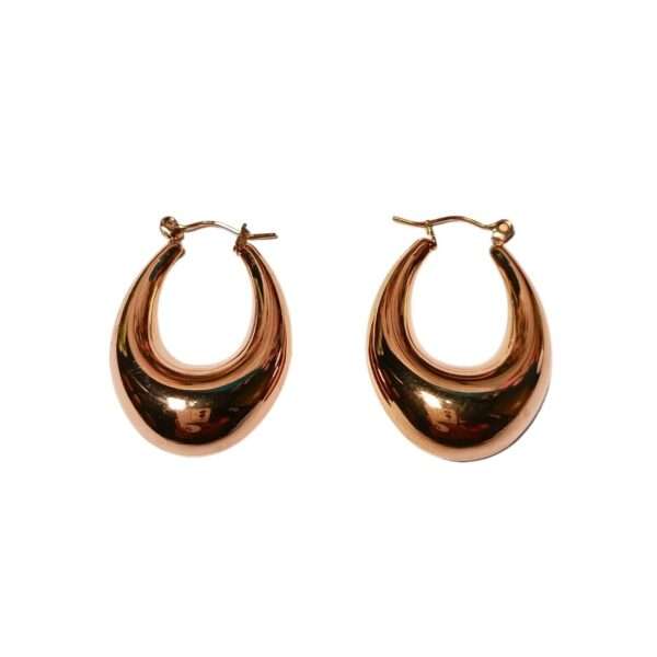 Luna Luxe Stainless Steel Anti Tarnish Earrings
