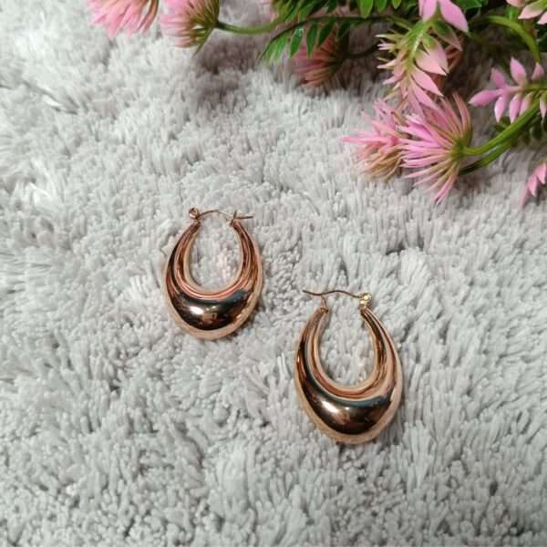 Luna Luxe Stainless Steel Anti Tarnish Earrings - Image 2