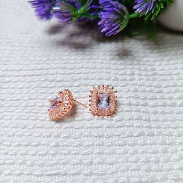 Radiance Royale Stainless Steel Anti Tarnish Earrings - Image 3