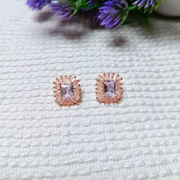 Radiance Royale Stainless Steel Anti Tarnish Earrings - Image 2