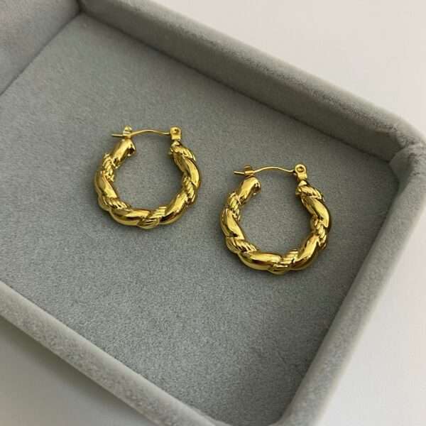 Radiant Twist Stainless Steel Hoops - Image 2