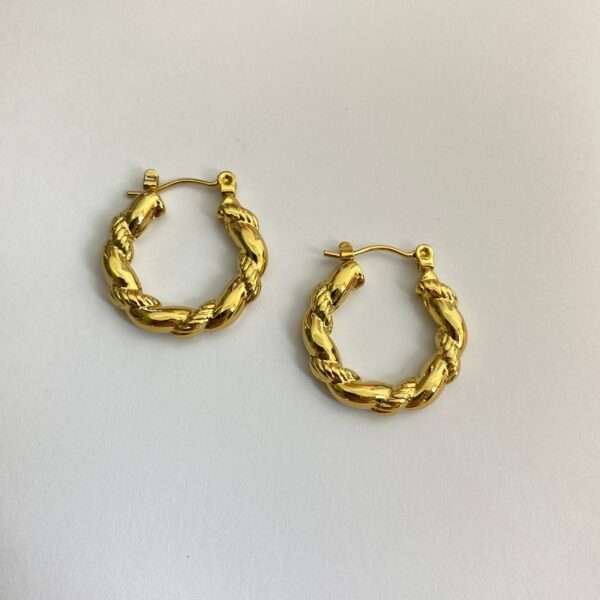 Radiant Twist Stainless Steel Hoops - Image 4