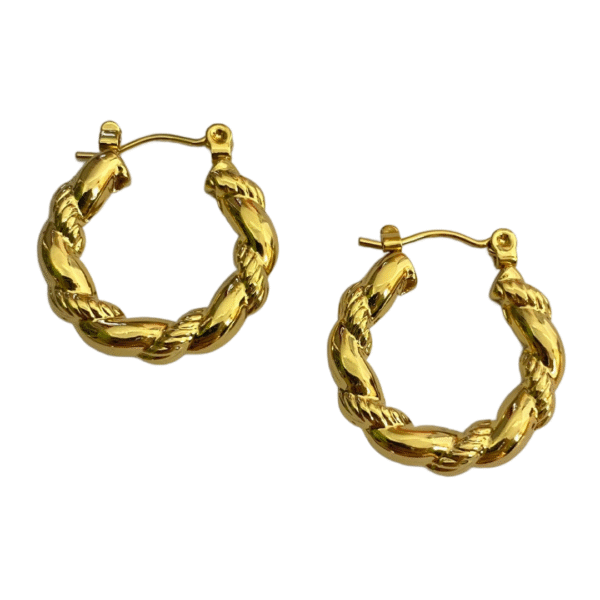 Radiant Twist Stainless Steel Hoops