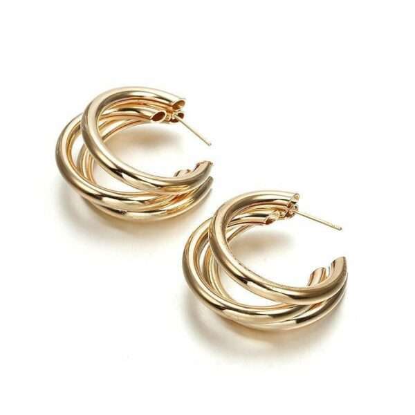 Sculpt Shine Stainless Steel Hoops
