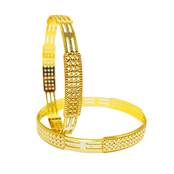 Shagun Shine Bangles